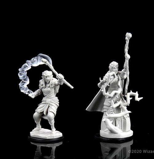 D&D Nolzurs Marvelous Miniatures: Firbolg Druid Female - Wave 13 Miniatures WizKids