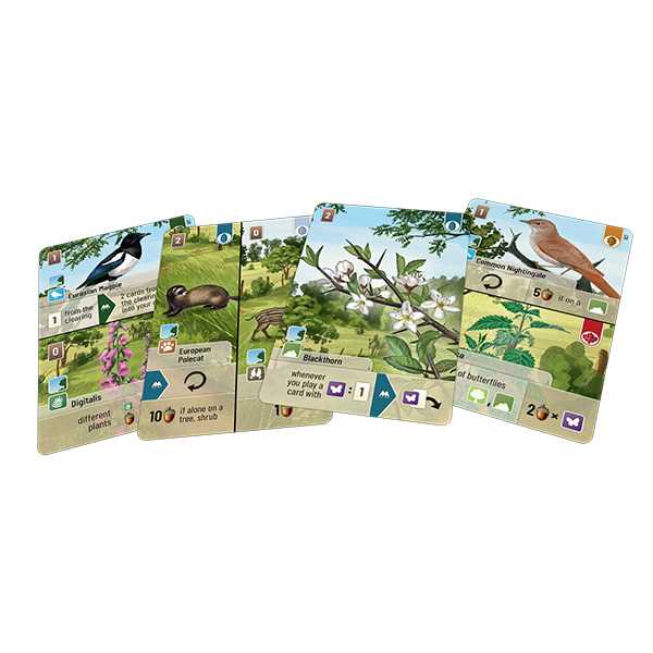 Forest Shuffle: Woodland Edge Card Game Lookout Spiele