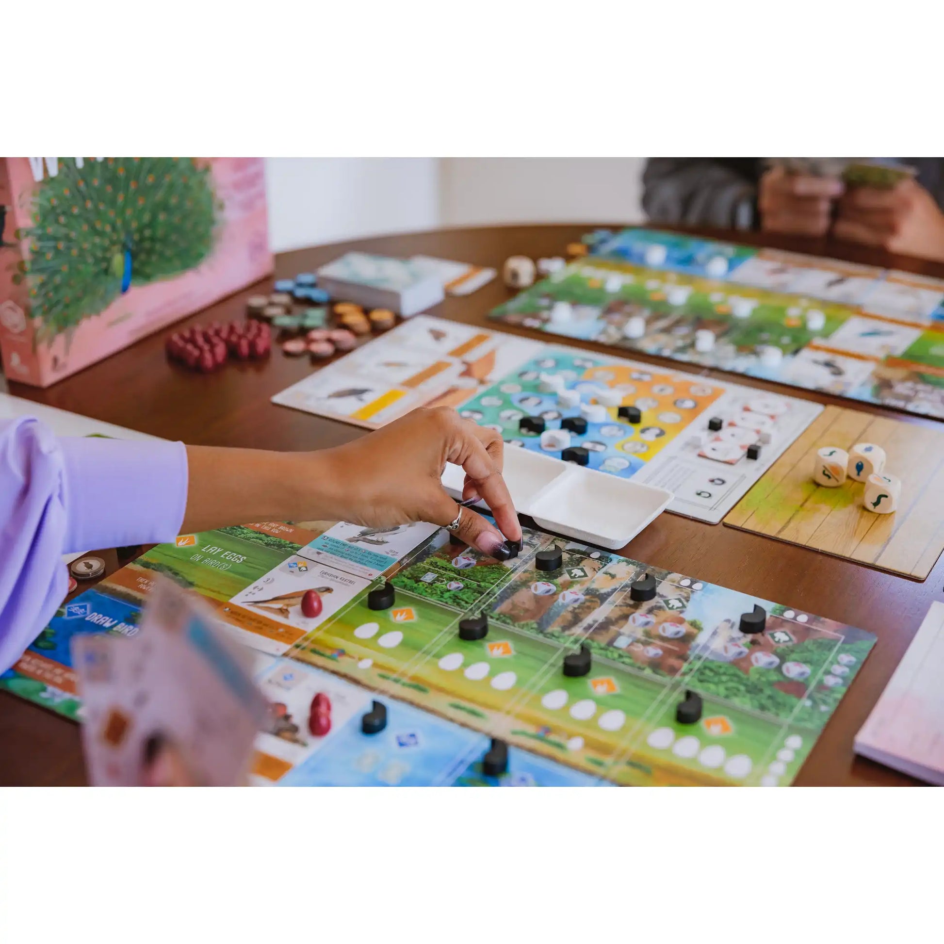 Wingspan Asia Board Game Stonemaier Games