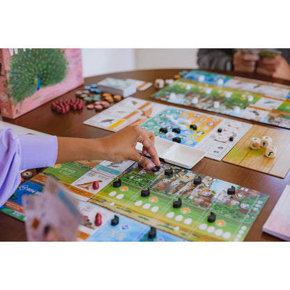 Wingspan Asia Board Game Stonemaier Games