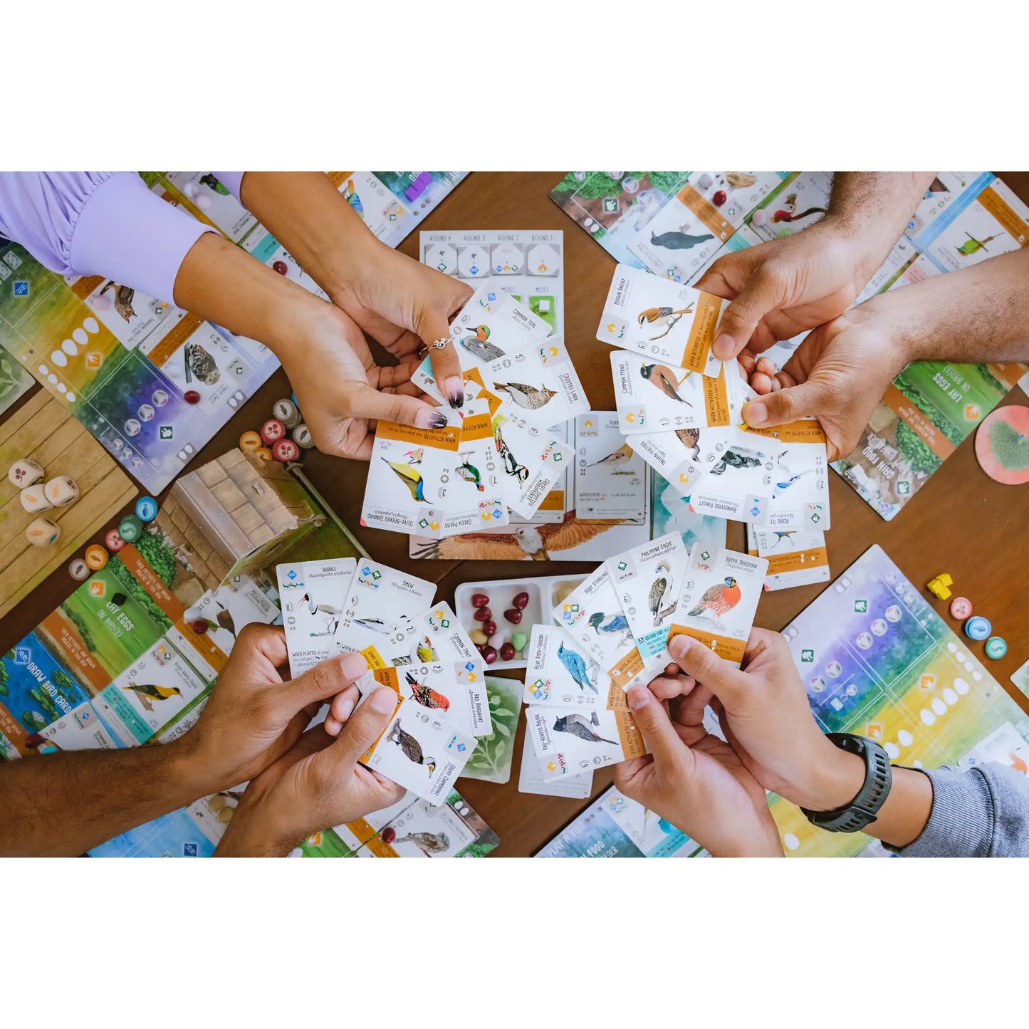 Wingspan Asia Board Game Stonemaier Games