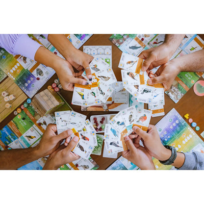 Wingspan Asia Board Game Stonemaier Games