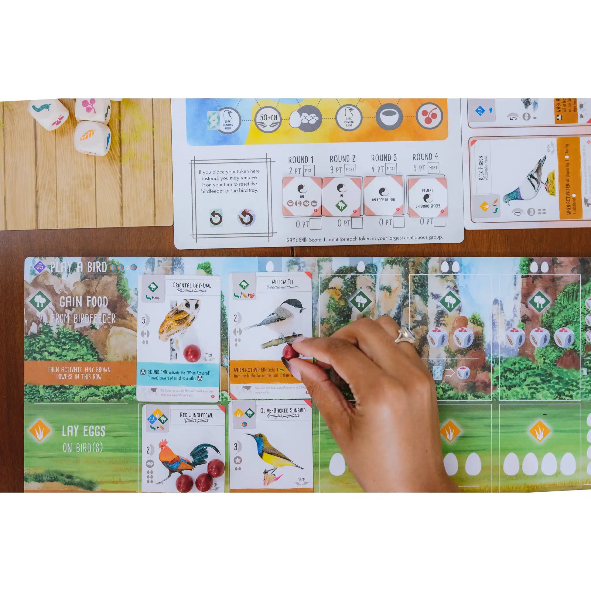 Wingspan Asia Board Game Stonemaier Games