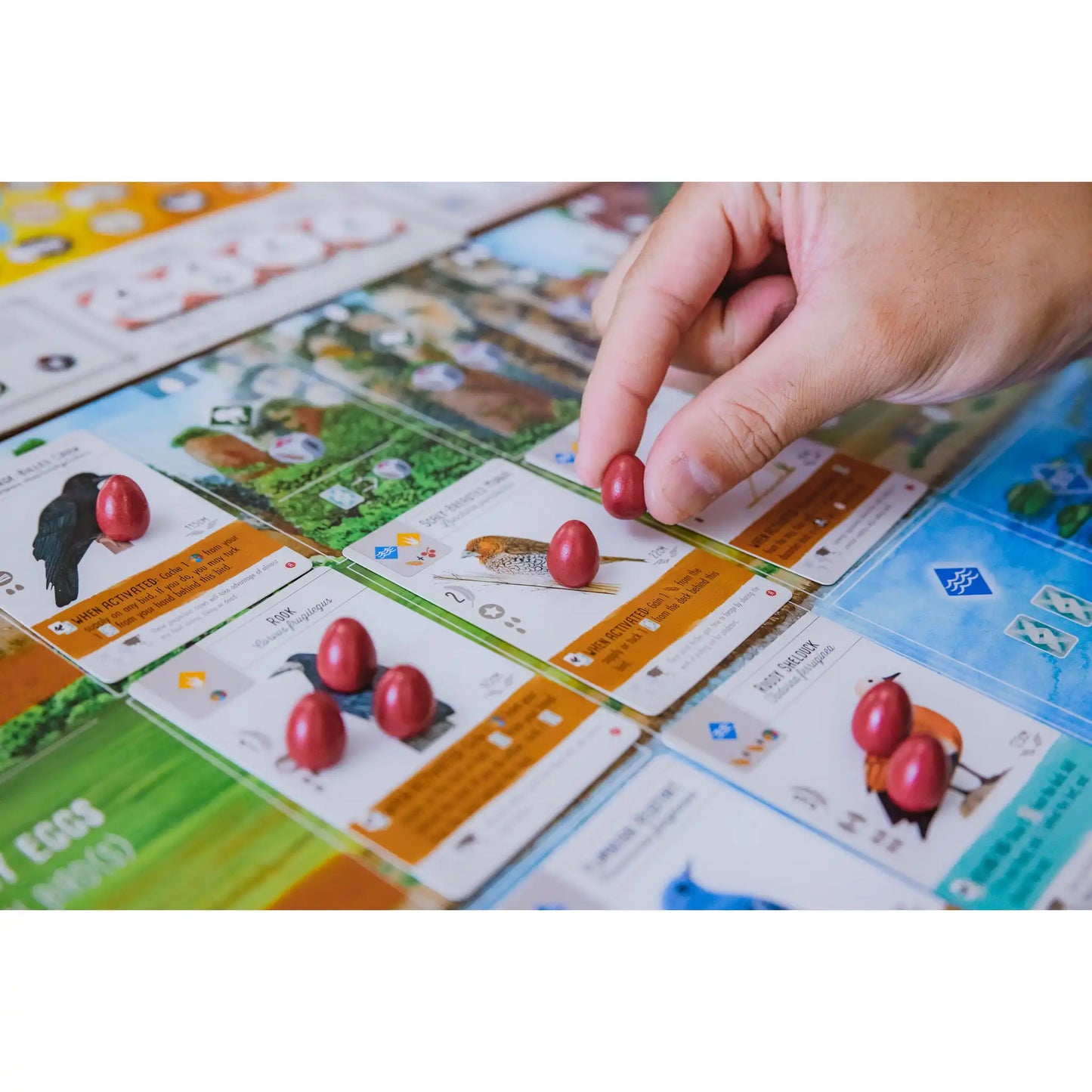 Wingspan Asia Board Game Stonemaier Games