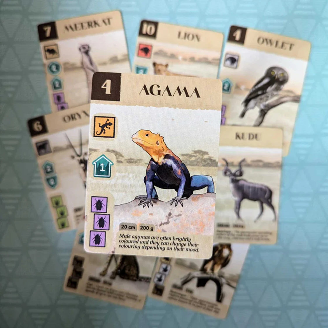 Kavango Board Game Mazaza Games