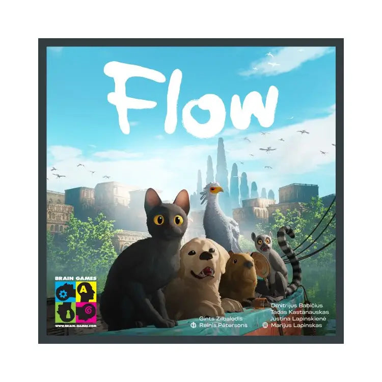 Flow Board Game Board Game Brain Games