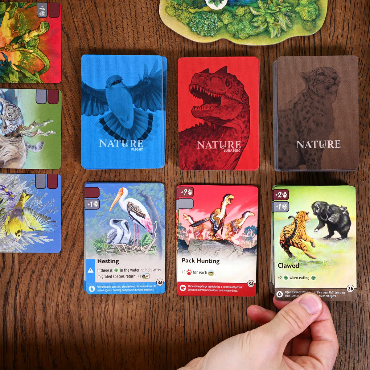 Nature Board Game North Star Games