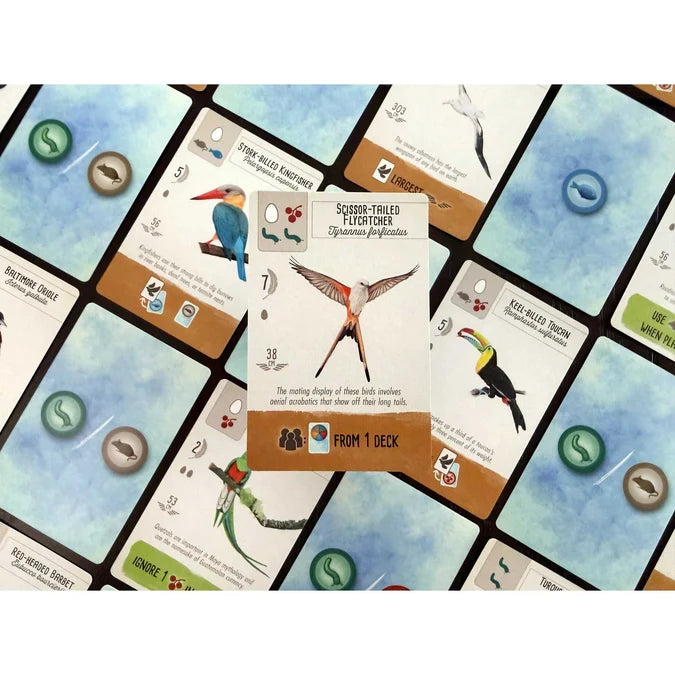 Wingspan Pocket Card Game Stonemaier Games