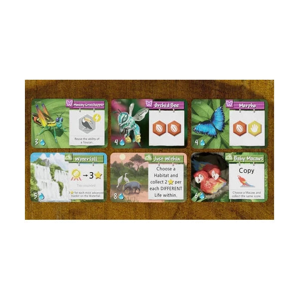 Life of the Amazonia Board Game Bad Comet