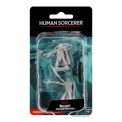 D&D Nolzurs Marvelous Miniatures: Human Male Sorcerer - Wave 1 Miniatures WizKids