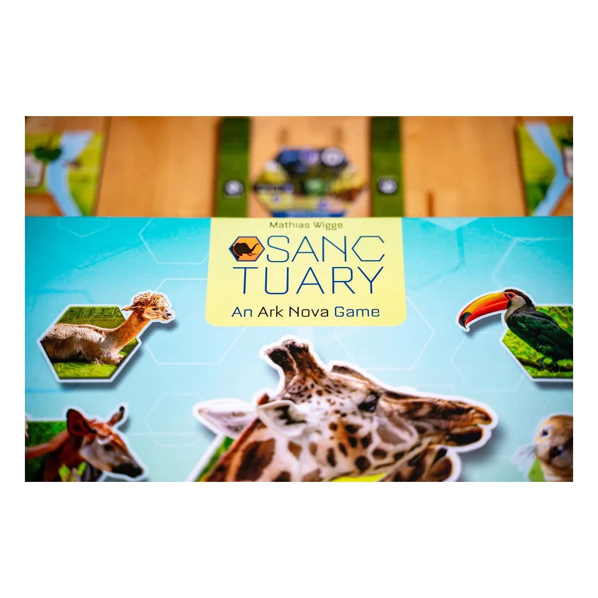 Sanctuary Board Game Capstone Games