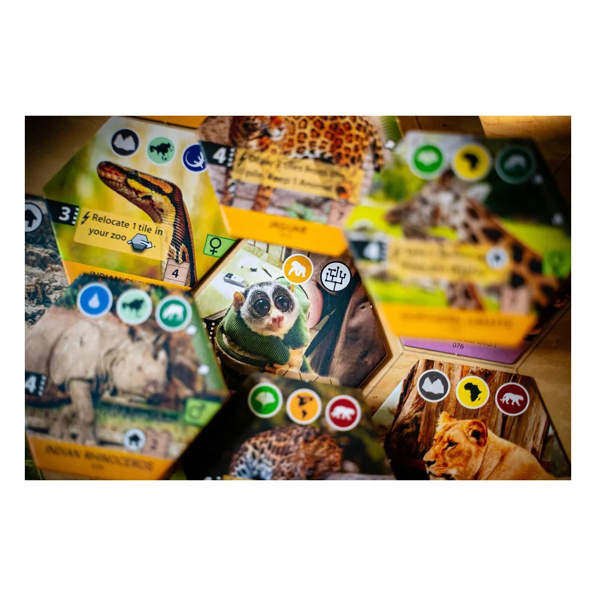 Sanctuary Board Game Capstone Games