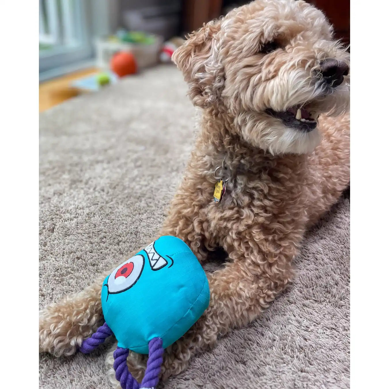 The BeSlobber Dog Toy Gifts Paw-lymorph Pet Toys