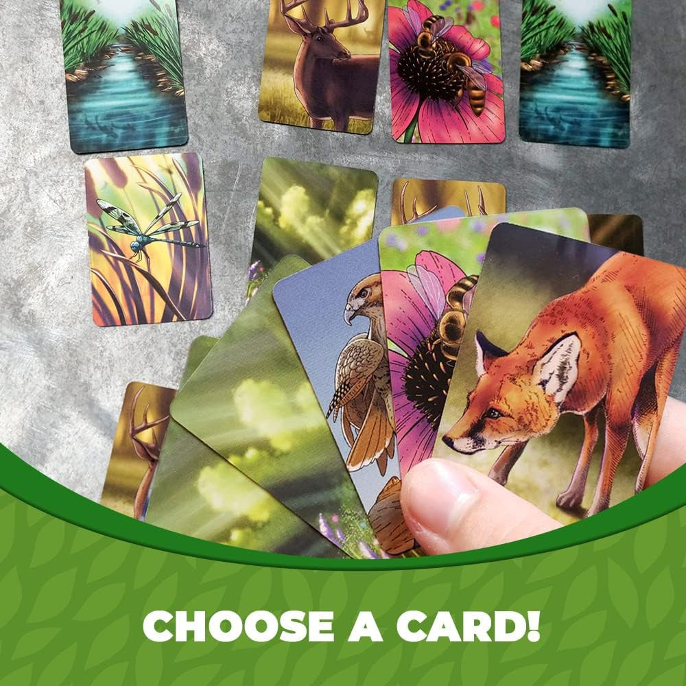 Ecosystem Card Game Genius Games