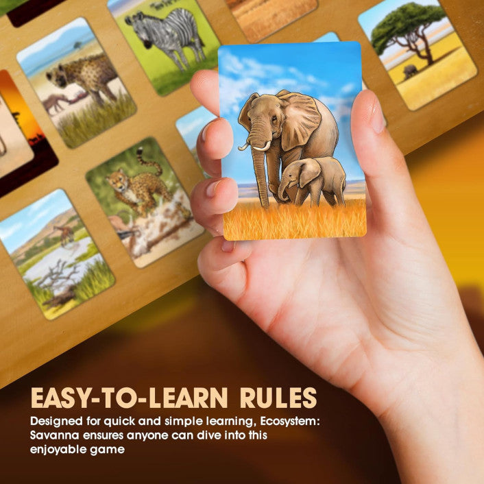 Ecosystem: Savanna Card Game Genius Games