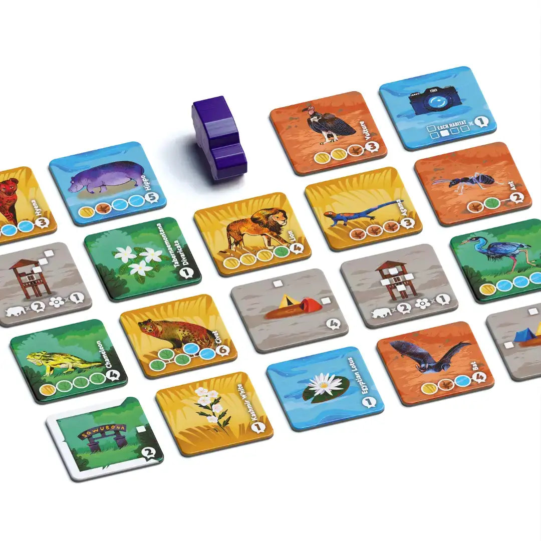 Habitats Board Game AllPlay