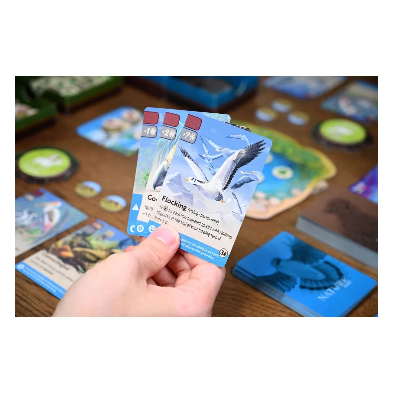 Nature: Flight Expansion Board Game North Star Games