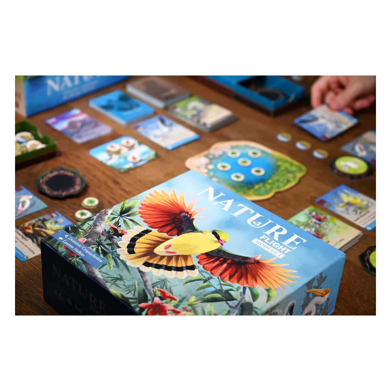 Nature: Flight Expansion Board Game North Star Games