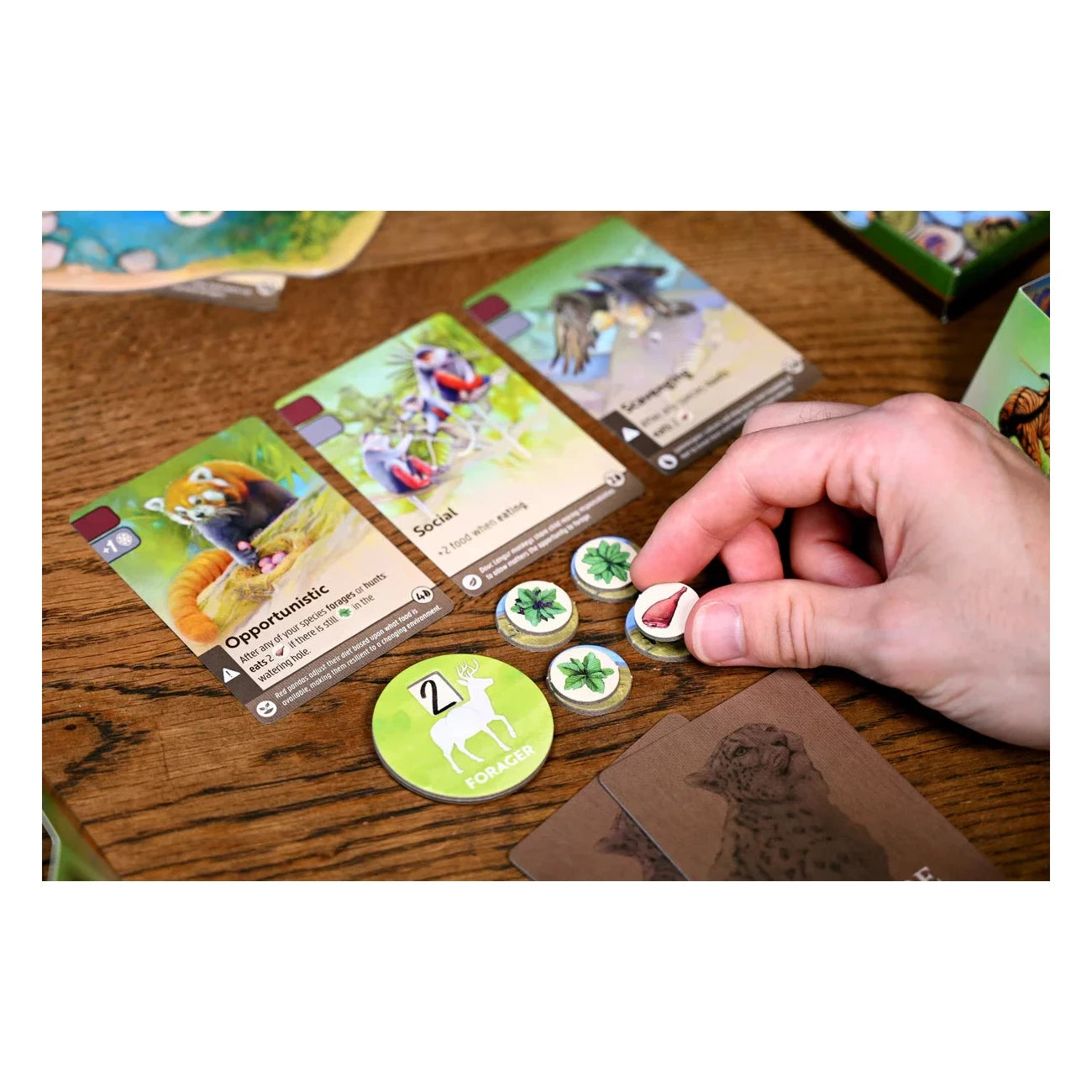 Nature Board Game North Star Games