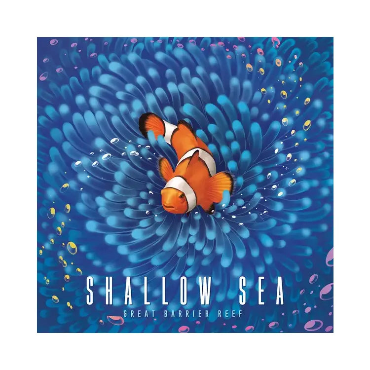 Shallow Sea Board Game Bad Comet