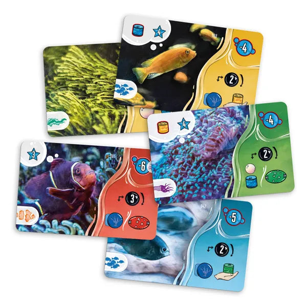Aquaria Board Game Delicious Games