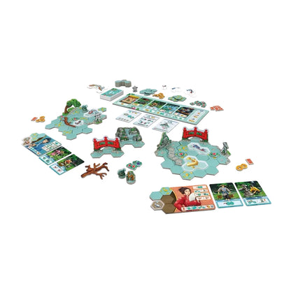 Koi Board Game DV Games