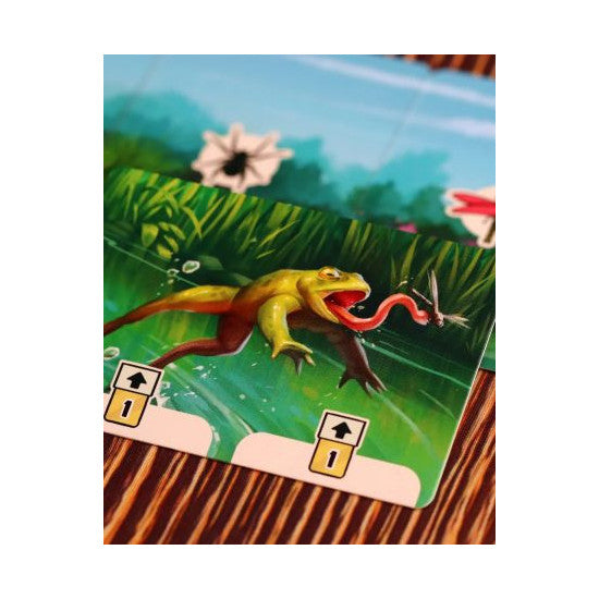 Pondscape Board Game Pink Troubador