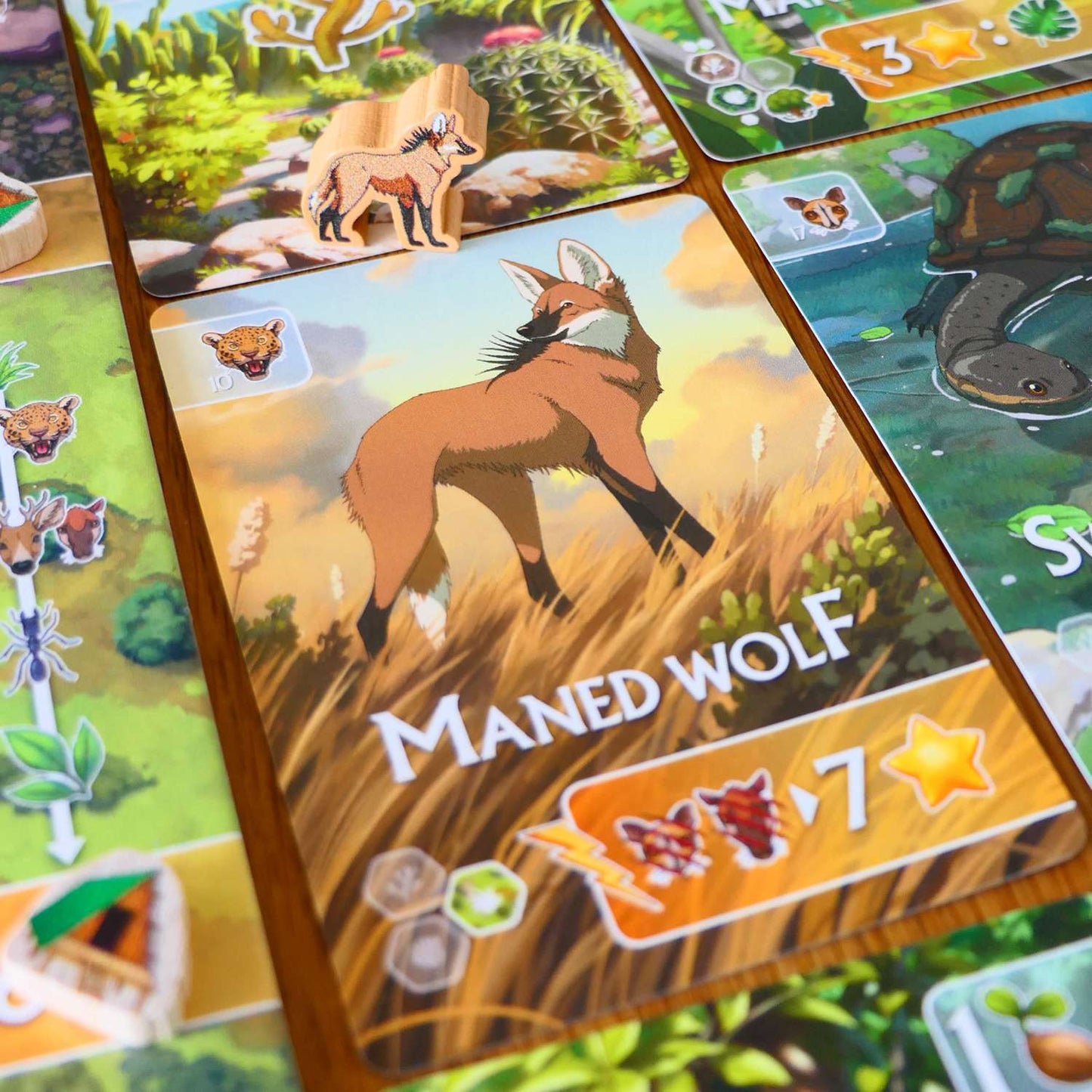 Rewild: South America Board Game Treecer