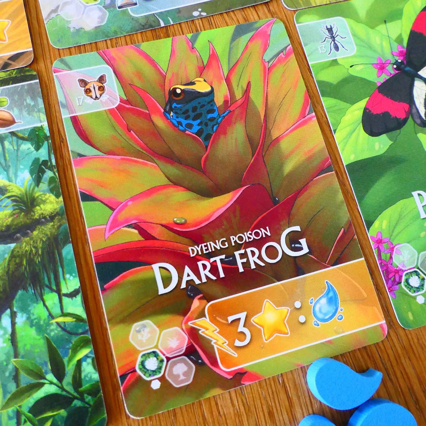 Rewild: South America Board Game Treecer